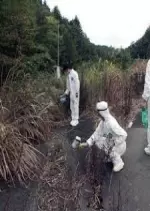 Fukushima, des particules et des hommes
