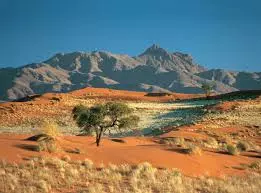 Afrique sauvage-Le Kalahari