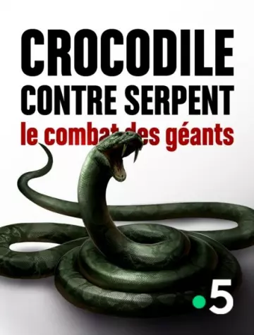 Crocodile contre Serpent : le combat des géants