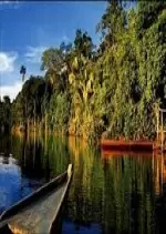Les forêts inexplorées de l'Amazonie péruvienne