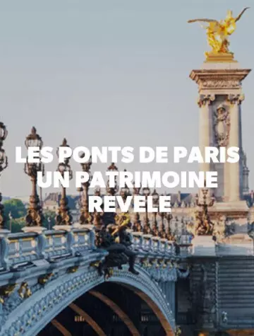 Les Ponts De Paris : Un Patrimoine Revele