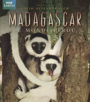 MADAGASCAR - Le monde perdu