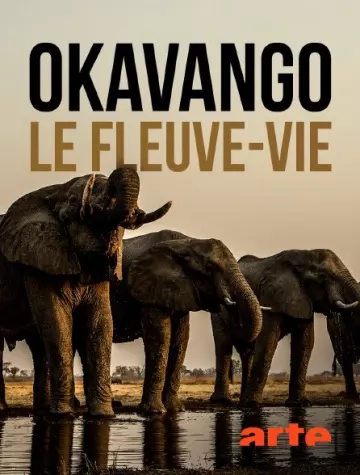 Okavango, le fleuve-vie