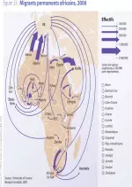 Le dessous des Cartes  Migration intra-Africaines