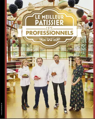 Le meilleur pâtissier - Les professionnels S05E04