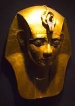 Le pharaon d'argent