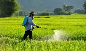 Pesticides: Les Champs de la Colère