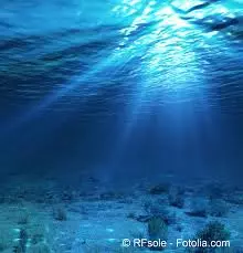 Notre Planète     Les eaux profondes