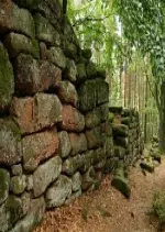 Le mur païen, une énigme archéologique en Alsace