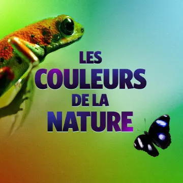 LES COULEURS DE LA NATURE - COULEURS ET CAMOUFLAGE