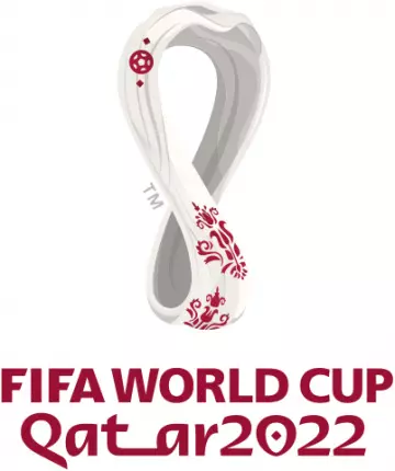 FIFA WORLD CUP 2022 - Merci les Bleus