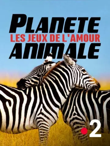 PLANÈTE ANIMALE, LES JEUX DE L'AMOUR (MAITRESSES DU JEU)