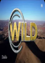 Wild, la course de survie - S01E03