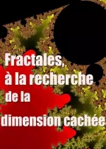 Fractales, à la recherche de la dimension cachée