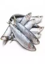 La boite de sardine
