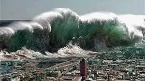 Tsunami 2004, ils ont filmé la catastrophe du siècle