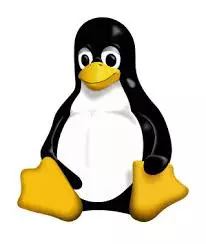 Les Commandes de Base de Linux Ubuntu Server  [Tutoriels]