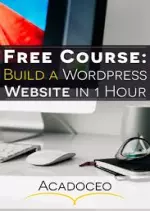Build A Website in 1 Hour! Wordpress & Divi Crash Course  [Tutoriels]