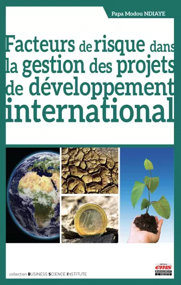 Facteurs de risque dans la gestion des projets de développement international [Livres]