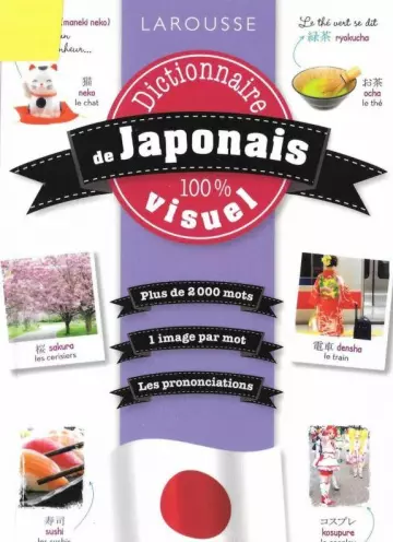 Dictionnaire de japonais 100% visuel [Livres]