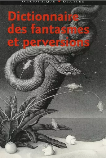 DICTIONNAIRE DES FANTASMES ET PERVERSIONS [Livres]