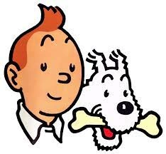 Tintin - Intégrale 24 Albums [BD]
