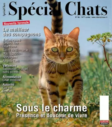 Spécial Chats N°56 – Juillet-Septembre 2022  [Magazines]