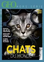 Géo Hors-Série Best-Seller N°1 - Chats Du Monde [Magazines]