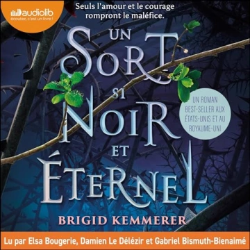 Un sort si noir et éternel 1 Brigid Kemmerer [AudioBooks]