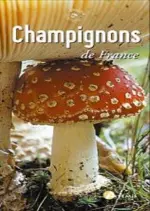 Champignons de France  [Livres]