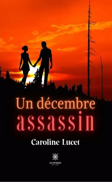 Un décembre assassin  Caroline Lucet [Livres]