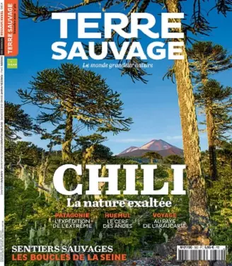 Terre Sauvage N°382 – Novembre 2020 [Magazines]
