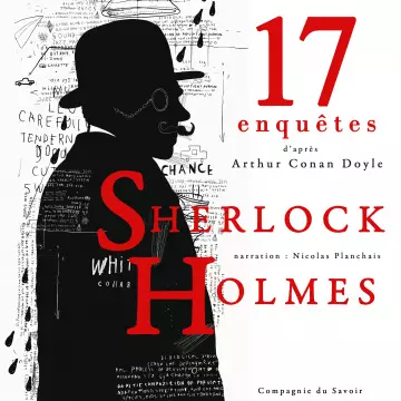 SIR ARTHUR CONAN DOYLE - SHERLOCK HOLMES - 17 NOUVELLES [AudioBooks]