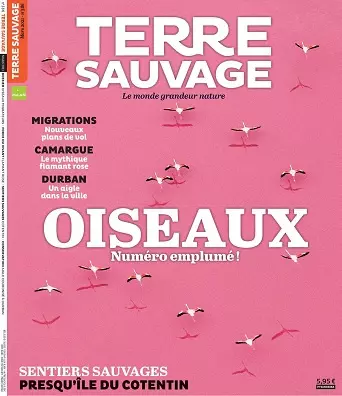 Terre Sauvage N°386 – Mars 2021  [Magazines]