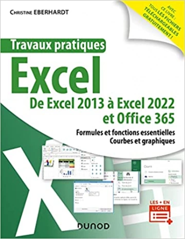 Travaux pratiques - Excel: De Excel 2013 à Excel 2022 et Office 365 [Livres]