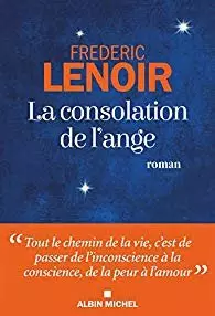La Consolation de l’ange - Frédéric Lenoir [Livres]