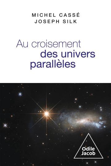 Au croisement des univers parallèles Michel Cassé, Joseph Silk [Livres]