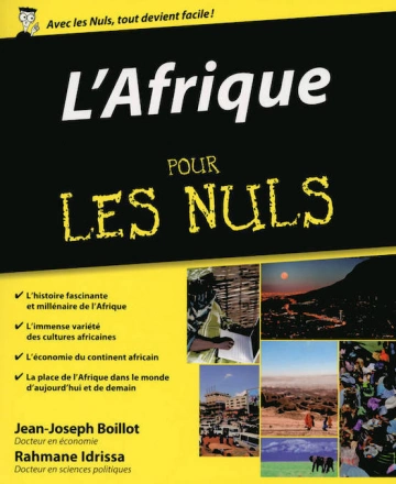 L'AFRIQUE POUR LES NULS - JEAN-JOSEPH BOILLOT, ABDOURAHMANE IDRISSA [Livres]