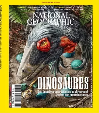 National Geographic N°254 – Novembre 2020  [Magazines]