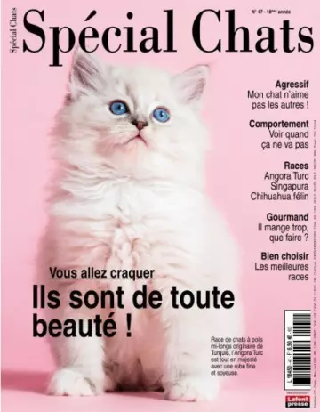 Spécial Chats - Février-Avril 2020  [Magazines]
