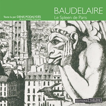 Le Spleen de Paris  Baudelaire  [AudioBooks]