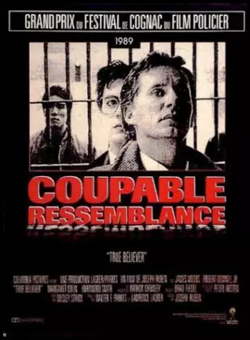 Coupable Ressemblance [DVDRIP] - TRUEFRENCH