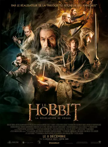 Le Hobbit : la Désolation de Smaug [BDRIP] - TRUEFRENCH