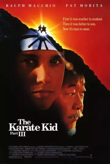 Karate Kid 3 [HDLIGHT 1080p] - MULTI (FRENCH)