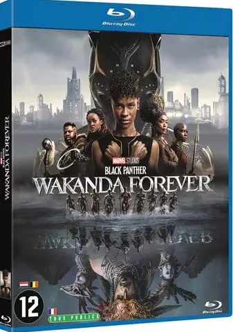 Black Panther : Wakanda Forever [BLU-RAY 720p] - FRENCH