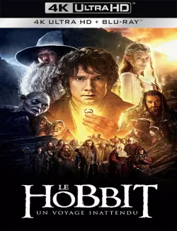 Le Hobbit : un voyage inattendu [BLURAY REMUX 4K] - MULTI (FRENCH)