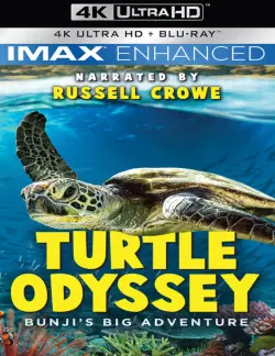 Turtle Odyssey [BLURAY REMUX 4K] - MULTI (FRENCH)