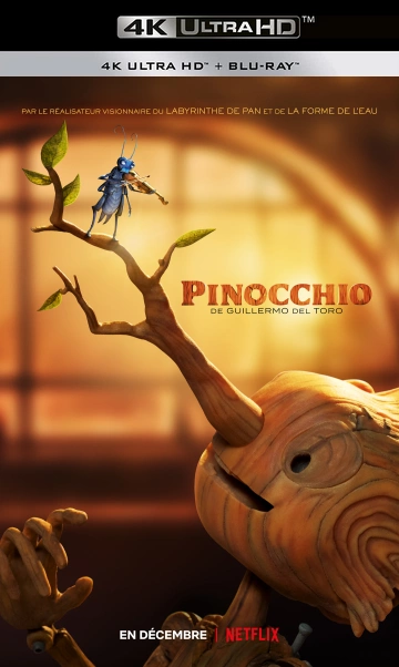 Pinocchio par Guillermo del Toro [WEB-DL 4K] - MULTI (TRUEFRENCH)