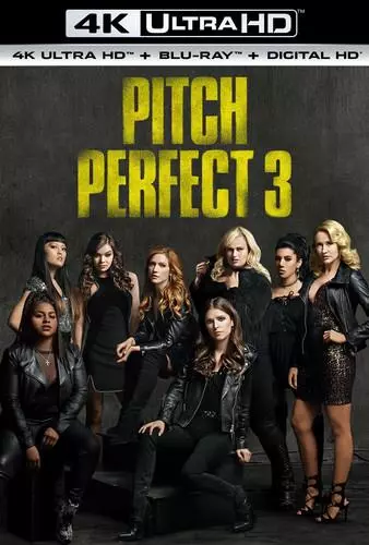 Pitch Perfect 3 [4K LIGHT] - MULTI (TRUEFRENCH)