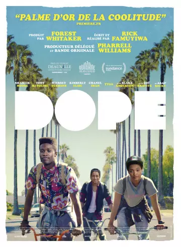 Dope [BDRIP] - FRENCH
